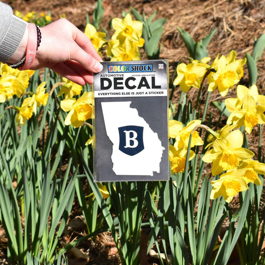 Georgia Outline Berry Decal