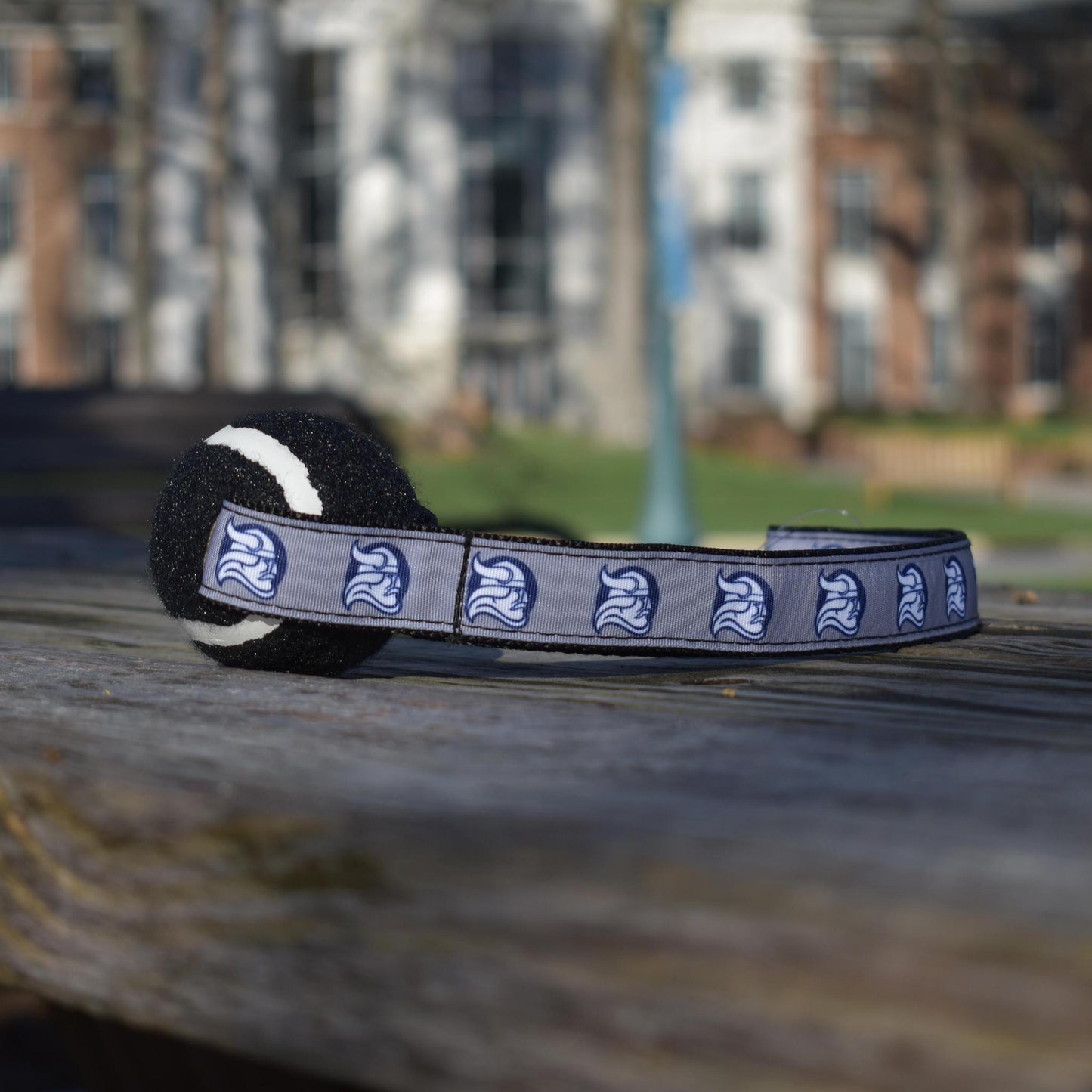 Viking Head Tennis Ball Toy