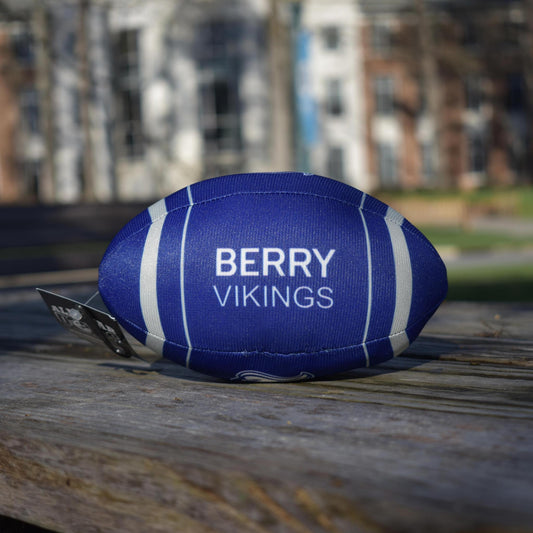 Viking Shield Football Toy