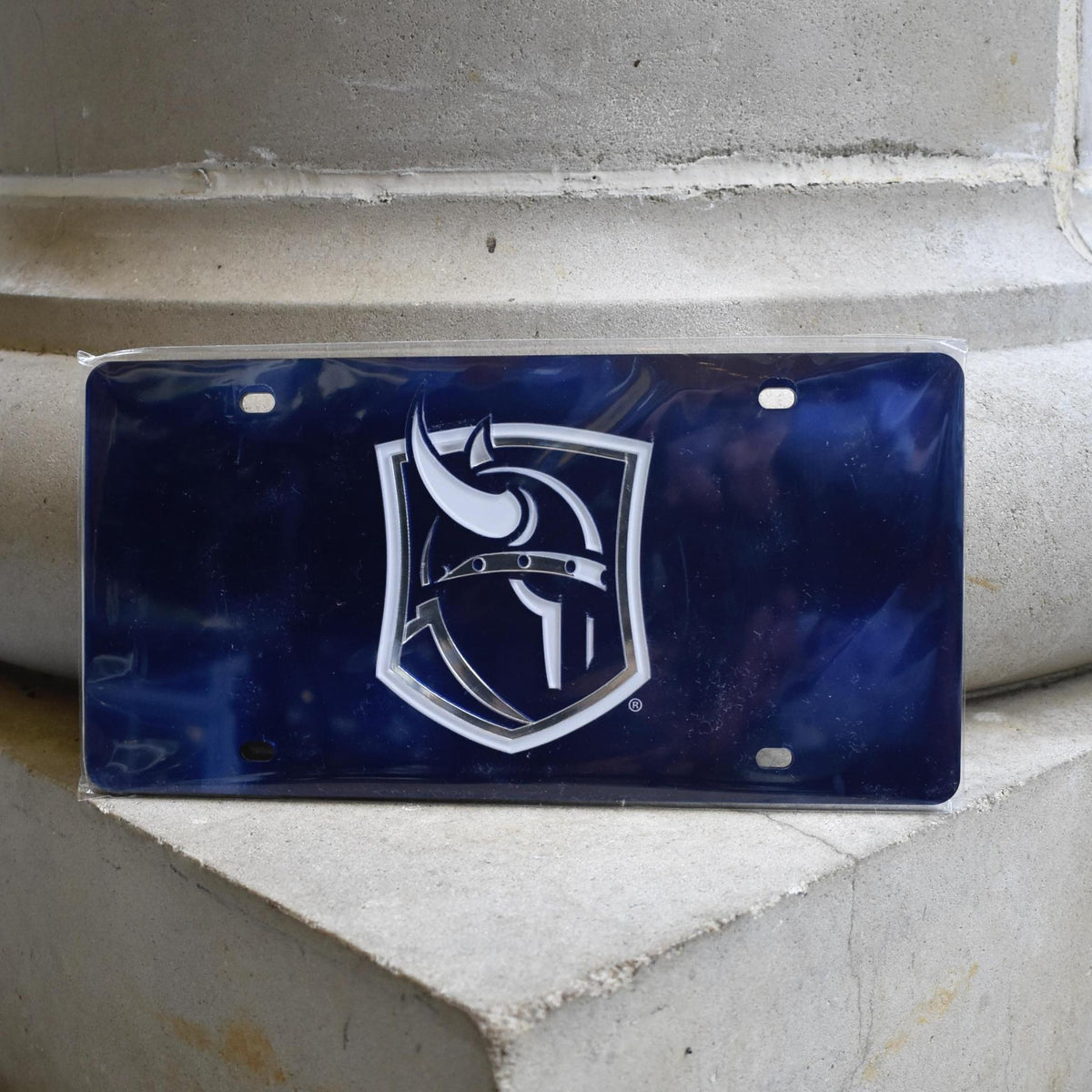 Navy Viking Head License Plate