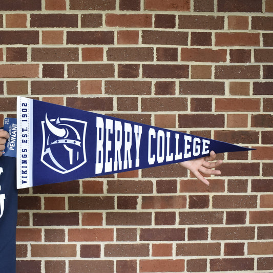 Viking Head Pennant Flag