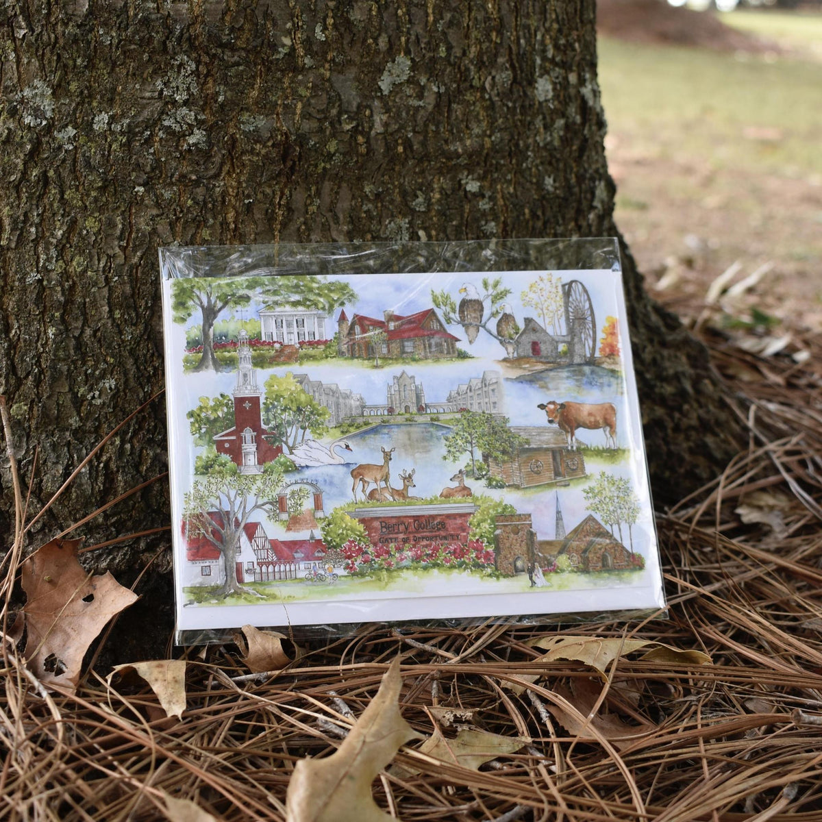 Cheryl Riner Hodge - Berry College Note Card Individual