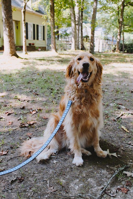 Gray Viking Head Dog Leash