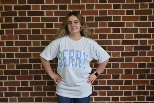 Arctic Blue Berry Everest Tee