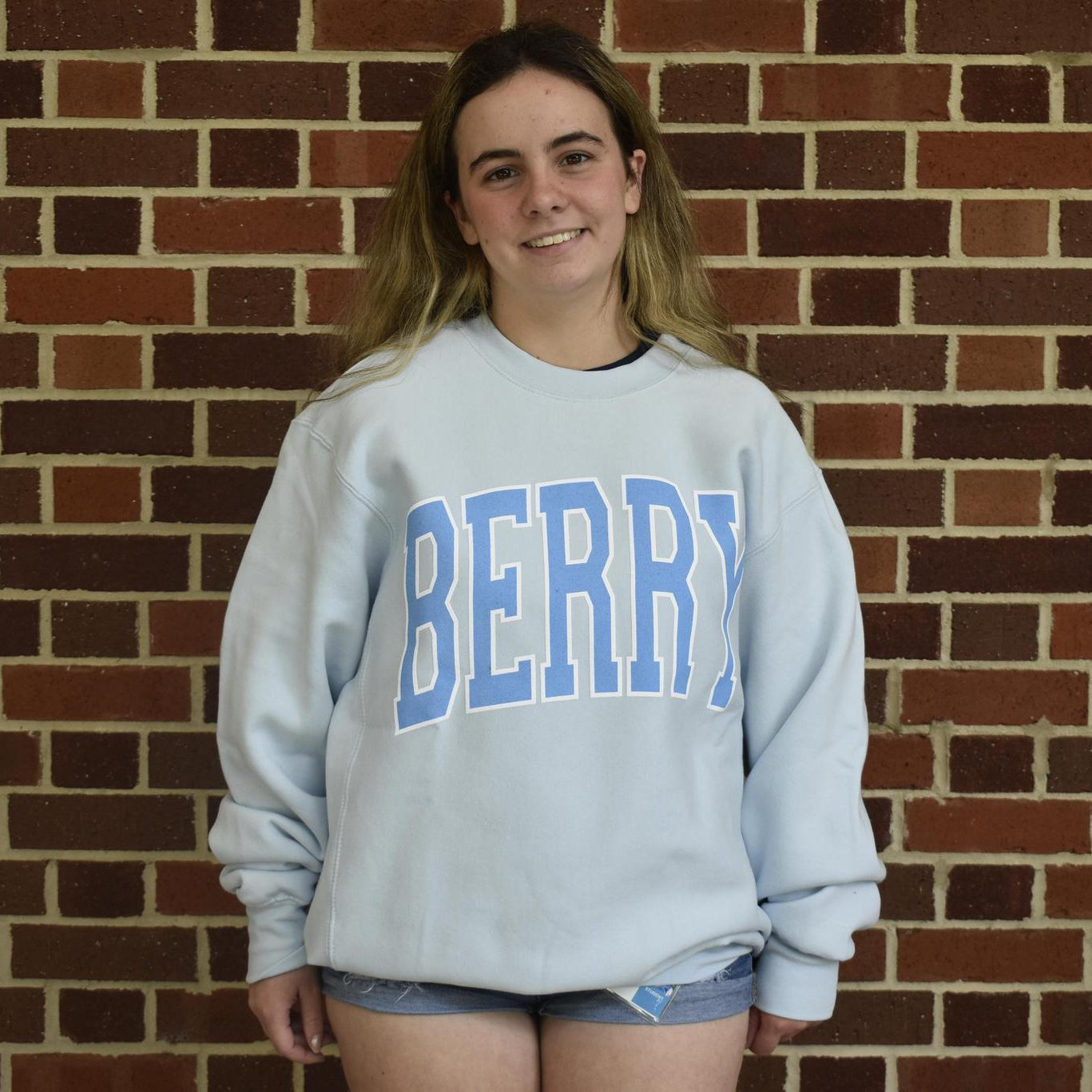 Arctic Blue Berry Proweave Crewneck