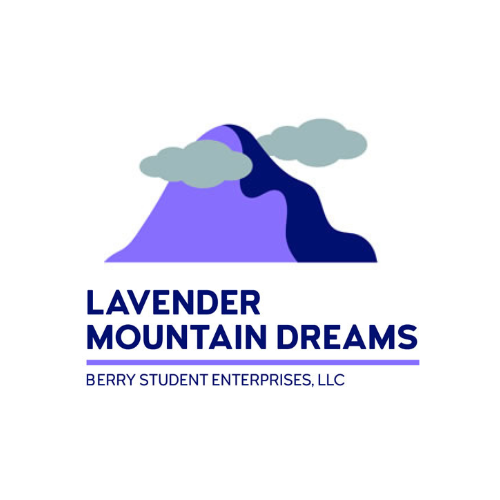 Lavender Mountain Dreams