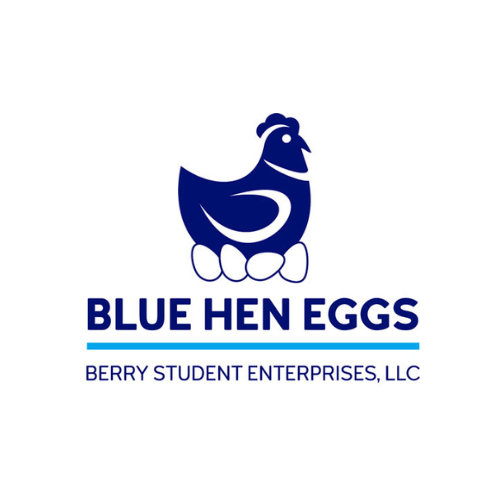 Blue Hen Eggs