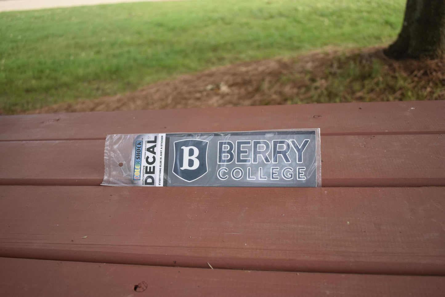 Welcome to Berry Bundle