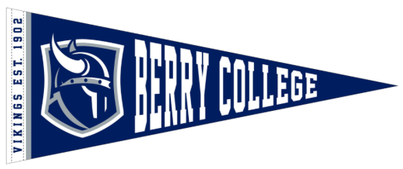 Viking Head Pennant Flag