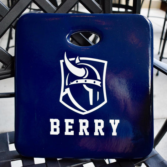 Viking Head Stadium Cushions