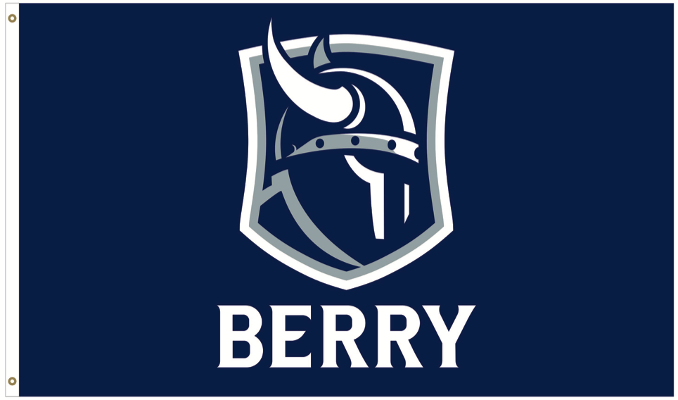 3x5 Deluxe Flag -  Berry Viking Head