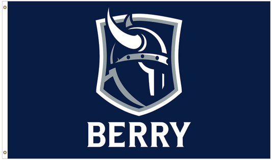3x5 Deluxe Flag -  Berry Viking Head