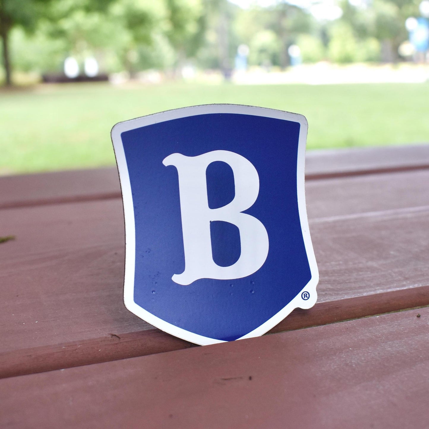 Berry B Shield Magnet
