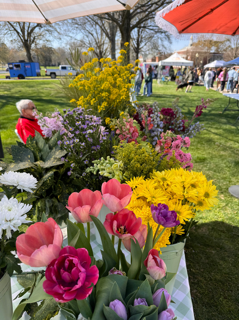 image of multicolored flowers with tents and people walking in the background