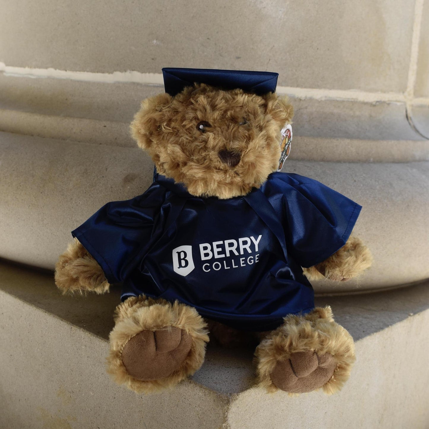 10" Berry Graduation Bear