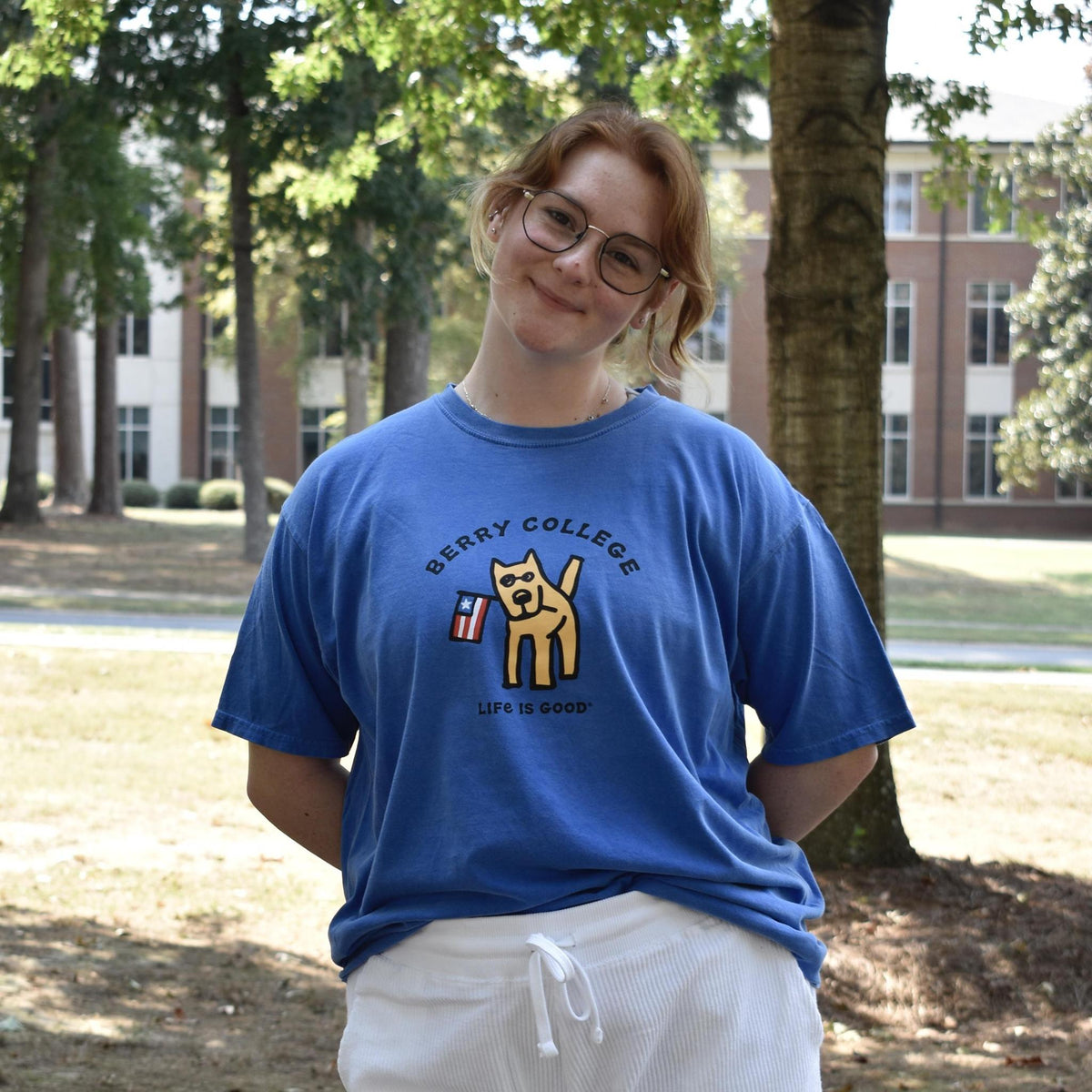 Life is Good Flag Dog Tee