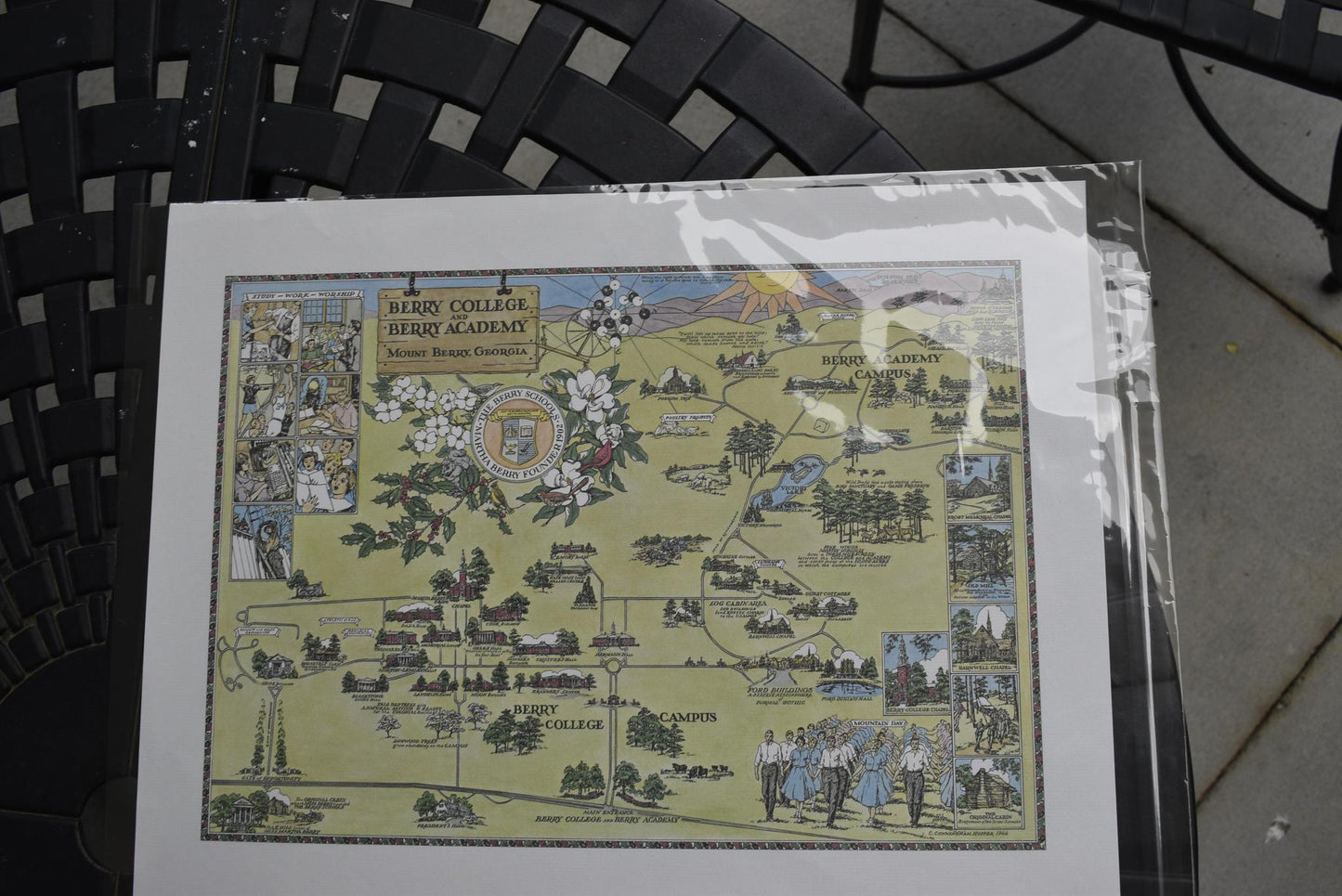 Berry Schools Map - Color