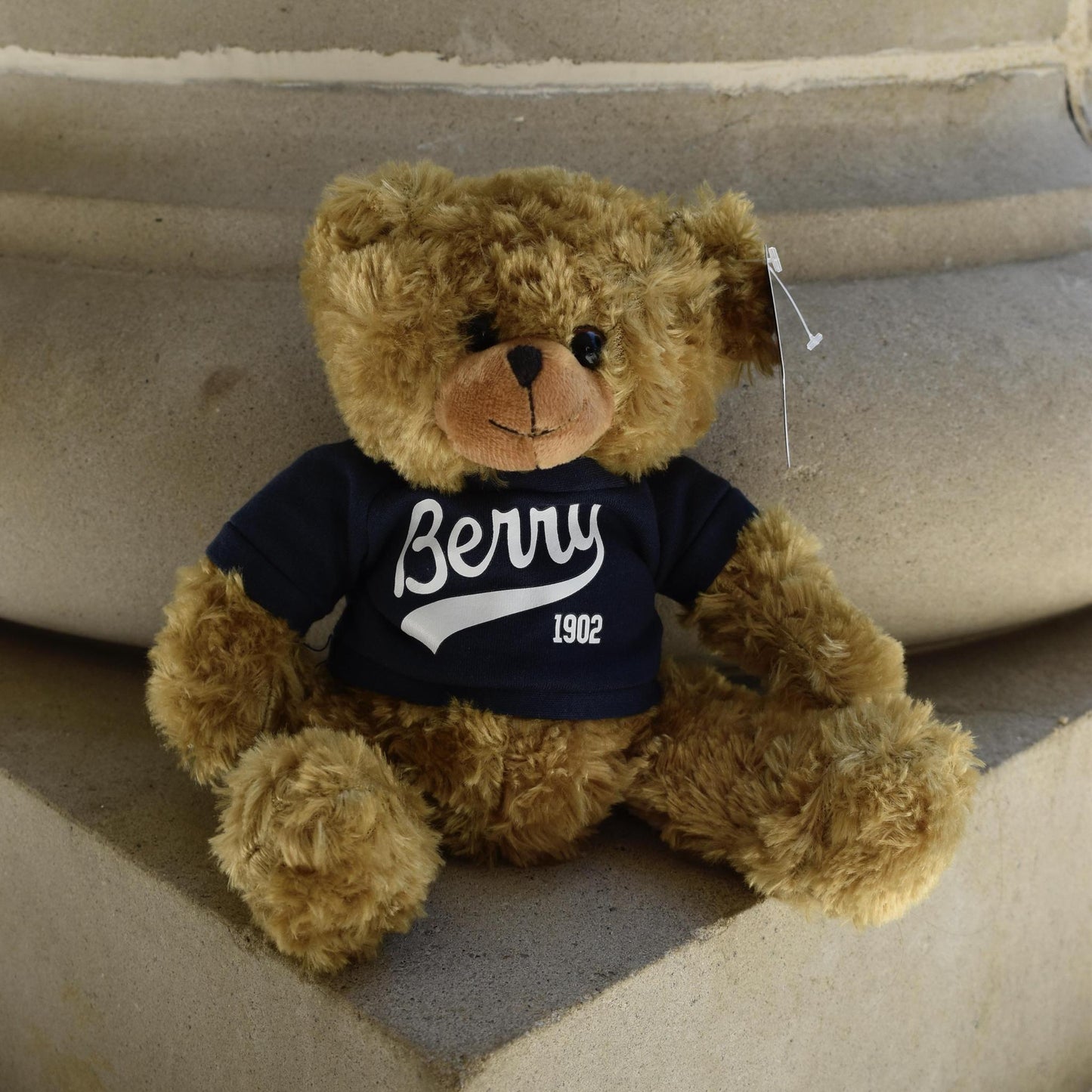 10" Brown Duffy Bear Plushie